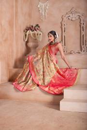 Np Saree  DN 9747A TO 9747D